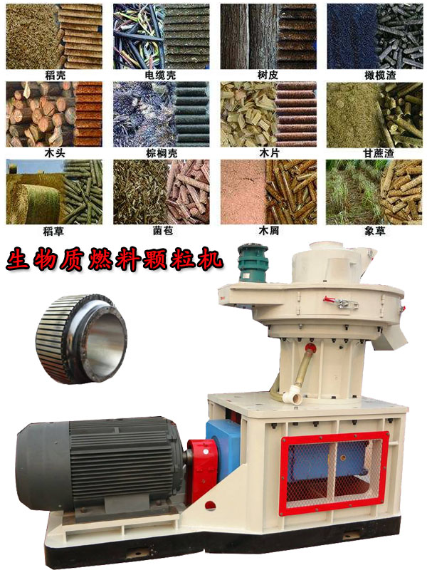 國內(nèi)外生物質(zhì)燃料顆粒機應(yīng)用現(xiàn)狀的疑問！