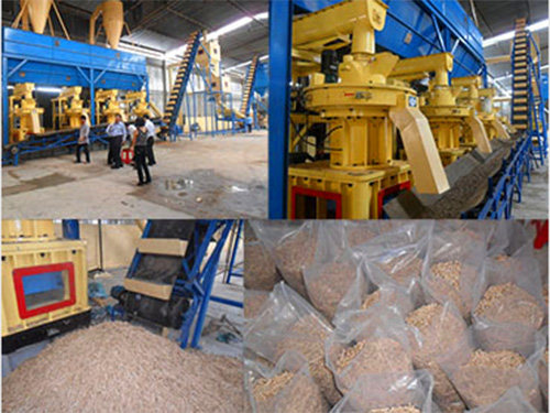 一個(gè)案例接著一個(gè)案例代表生物質(zhì)燃料顆粒機(jī)鋒芒畢露